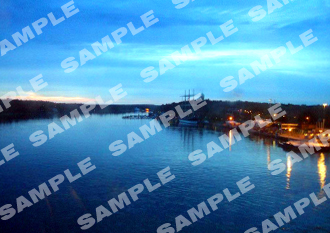 トピックスタイトル複製